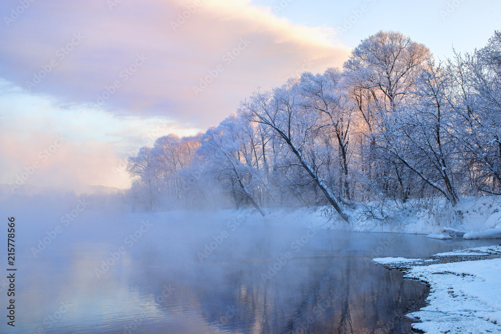 amazing landscape with frozen snow-covered trees in winter morning 
