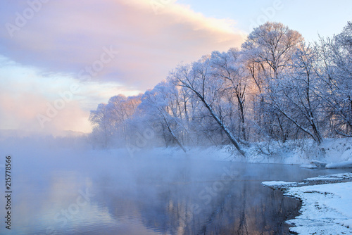amazing landscape with frozen snow-covered trees in winter morning 
