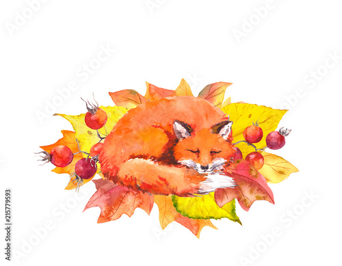 Cute fox in autumn leaves. Watercolor