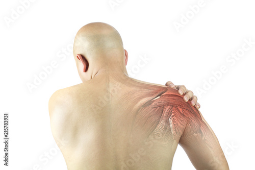 Fototapeta shoulder muscle injury