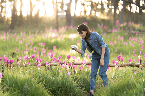 Young woman enjoying taking photo of pink flower field in Thailand © pigprox