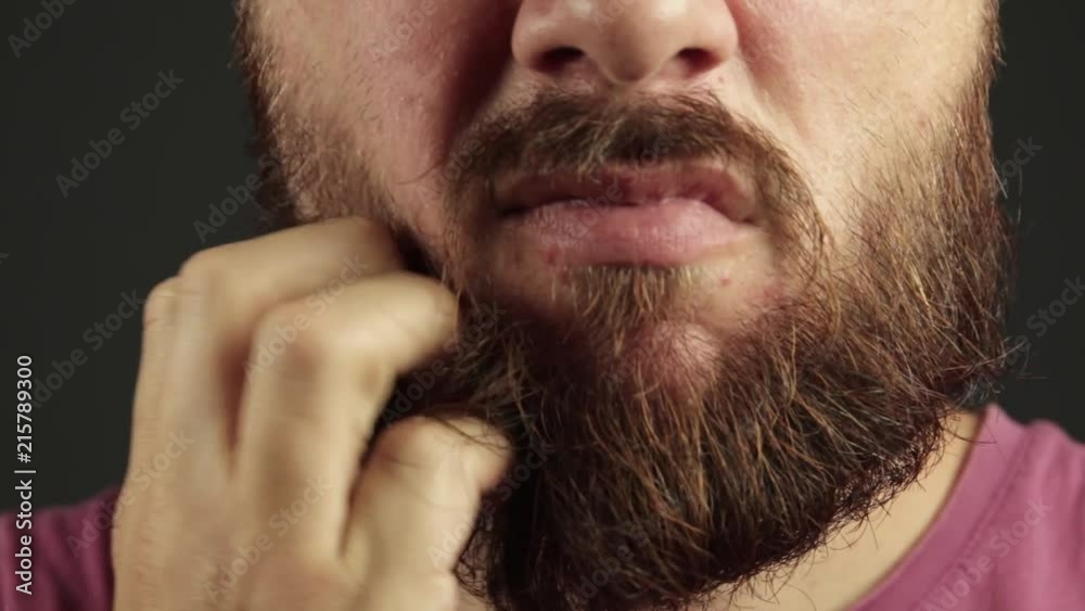 Extreme close up of beard man having an itch. Arranging the beard Extreme close up of beard man having an itch. Arranging the beard