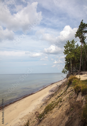 Fototapeta Naklejka Na Ścianę i Meble -  Baltic Sea coast