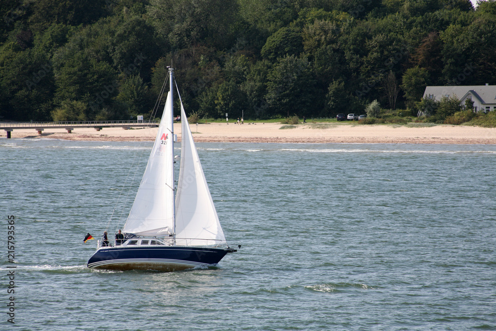 Obraz premium Gone with the wind. 006