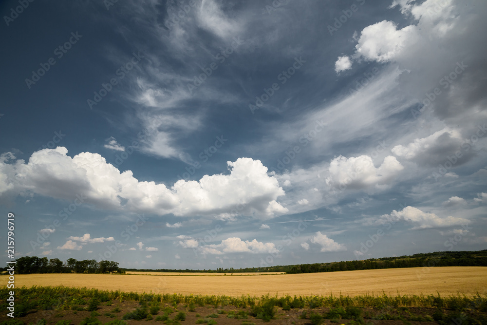 landscape of fields in Russia 