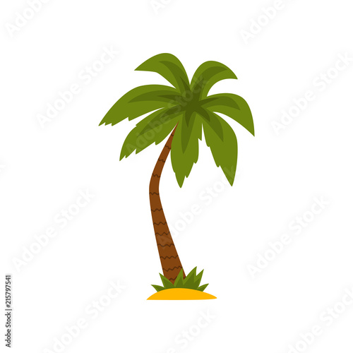 Beautiful green tropical palm tree vector Illustration on a white background