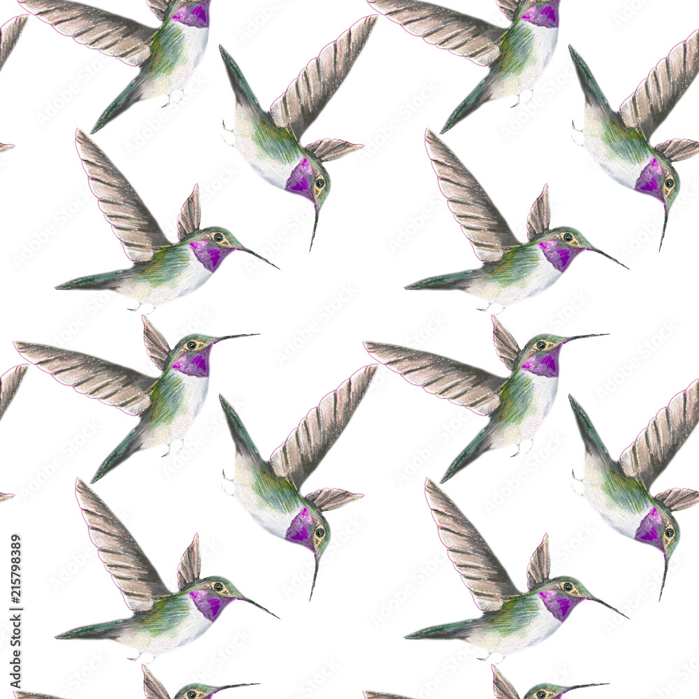 pattern bird. Seamless white pattern. Watercolor hand drawing background, texture, wrapper pattern, frame or border. pattern bird. Seamless white pattern. Watercolor hand drawing background, texture, wrapper pattern, frame or border.