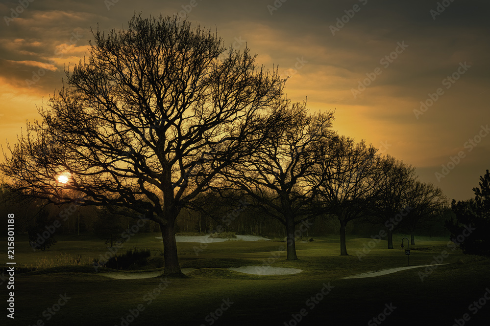 Fototapeta premium sunset in the city