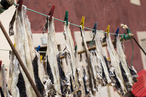 Peniche, Portugal - Fish drying in open air in front of a fisherman's house