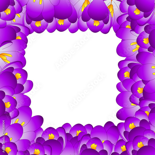 Fototapeta Naklejka Na Ścianę i Meble -  Purple Crocus Flower Border.