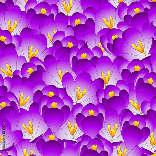 Fototapeta Naklejka Na Ścianę i Meble -  Purple Crocus Flower Seamless Background.