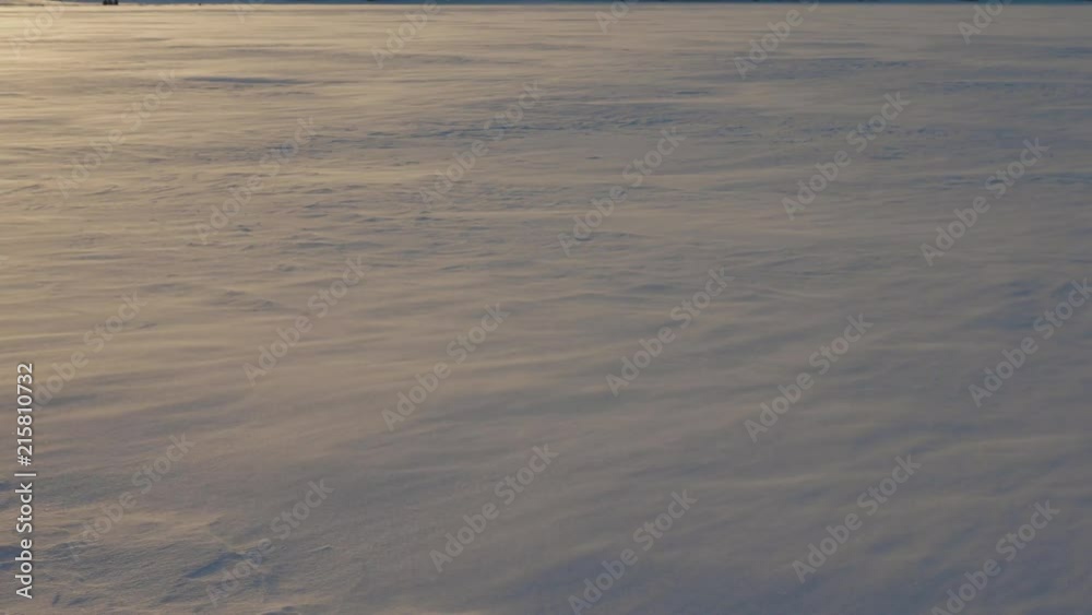 Blizzard In A Field Where Snowflakes And Frost Fly At The Wind At Golden Sunset Blizzard In A Field Where Snowflakes And Frost Fly At The Wind At Golden Sunset