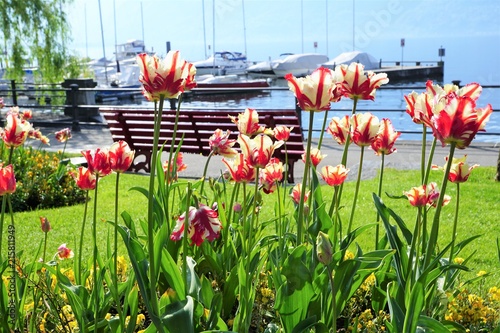 Lago Maggiore in Locarno in der Schweiz im Sommer