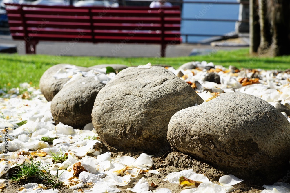 Fototapeta premium steine auf der Strasse in ascona