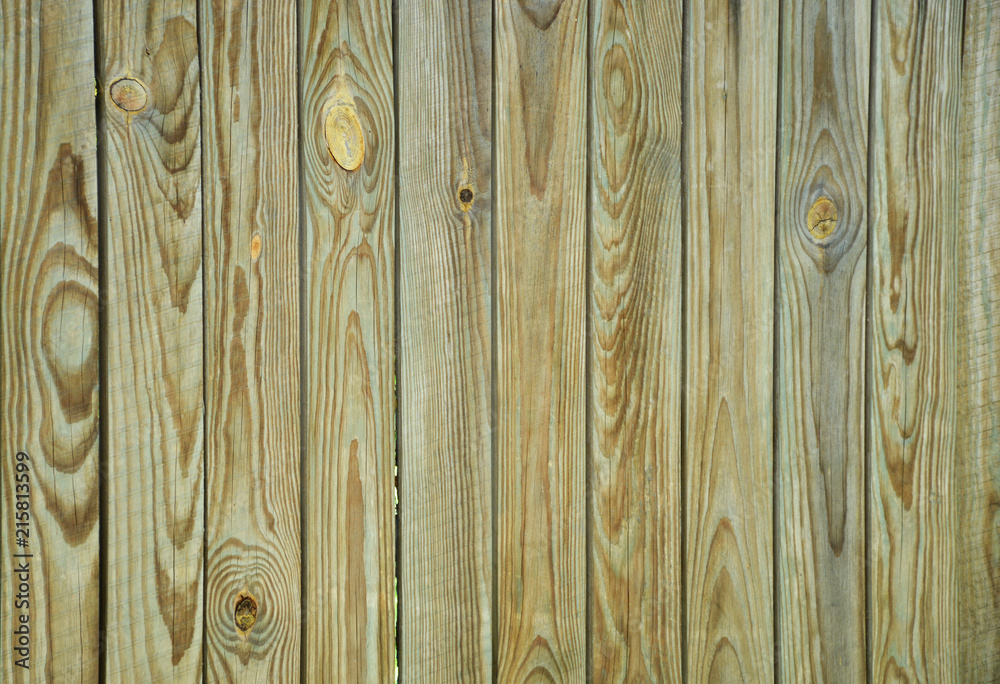 Fototapeta premium Wood fence texture