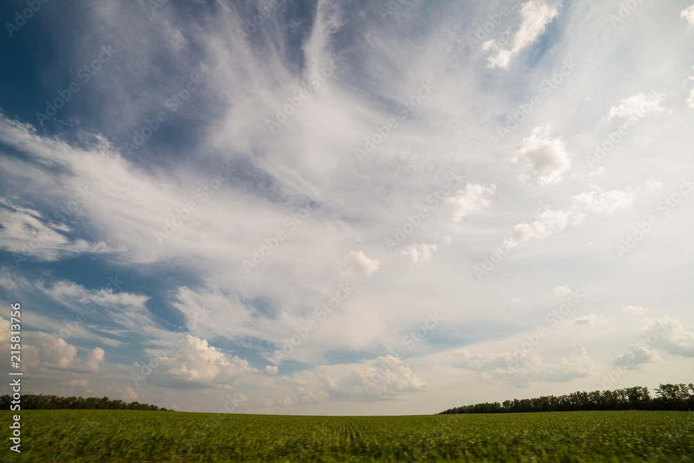 landscape of fields in Russia 