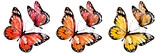 beautiful red butterflies, set, watercolor,  isolated  on a white