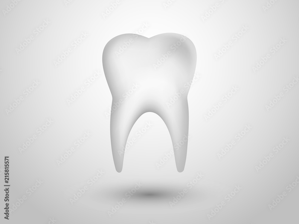 A white healthy human tooth for dental clinic in white background vector illustration A white healthy human tooth for dental clinic in white background vector illustration