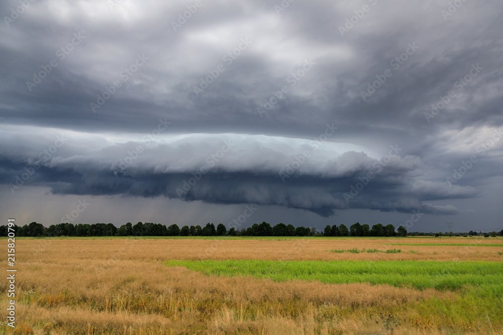 Thundercloud over the summer field