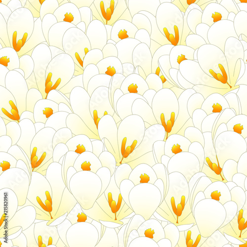 White Crocus Flower Seamles...