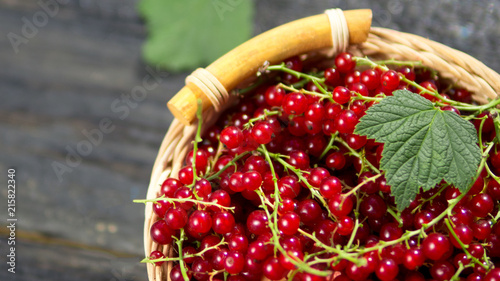 Red currant in a wicker basket