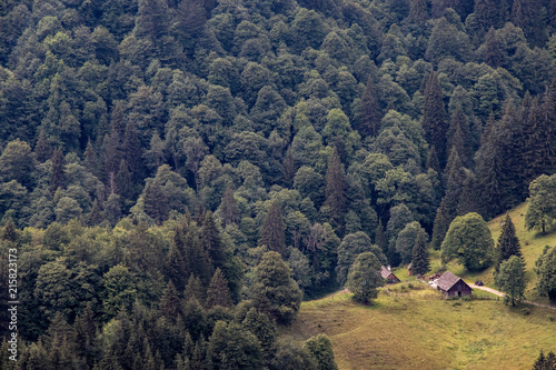 Berghütte im Wald photo