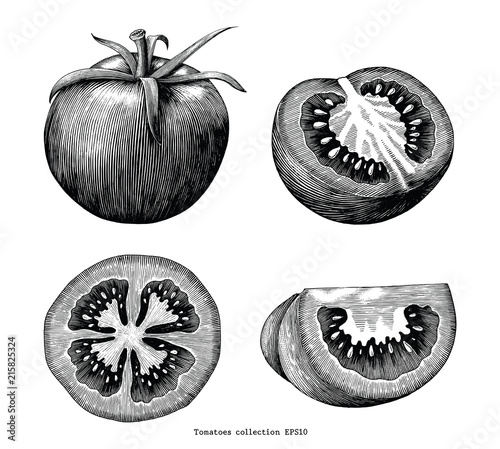 Tomatoes hand draw vintage clip art isolated on white background