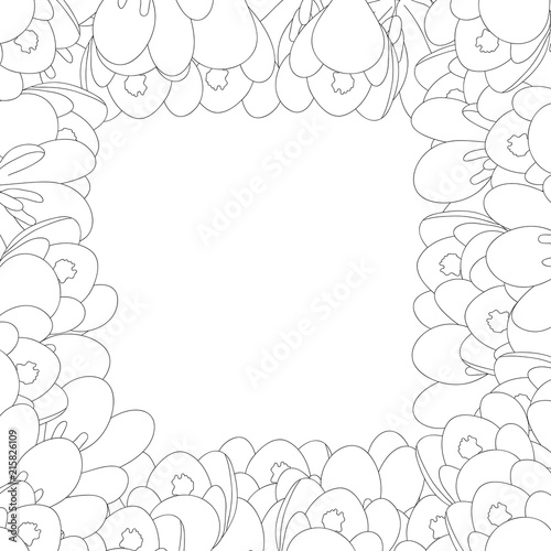 Fototapeta Naklejka Na Ścianę i Meble -  Crocus Flower Outline Border