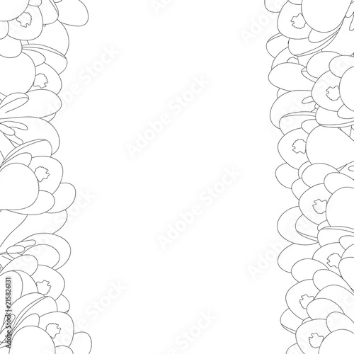 Fototapeta Naklejka Na Ścianę i Meble -  Crocus Flower Outline Border