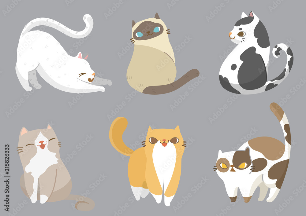 Set of cats in different poses on grey background. Vector illustration character design. Set of cats in different poses on grey background. Vector illustration character design.