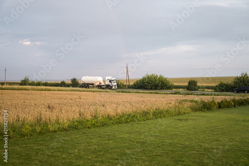 Truck on the road moving through wheat fields. Transportation. photo