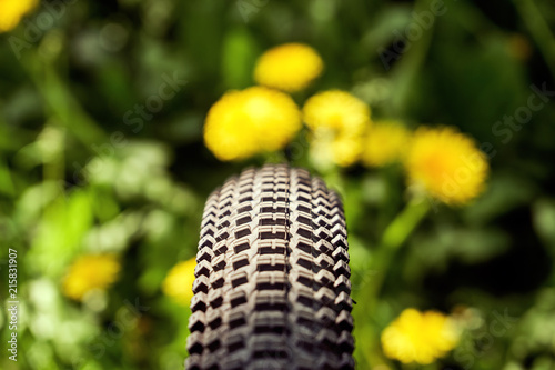 Bicycle tire with green grass and yellow dandelions in front of it