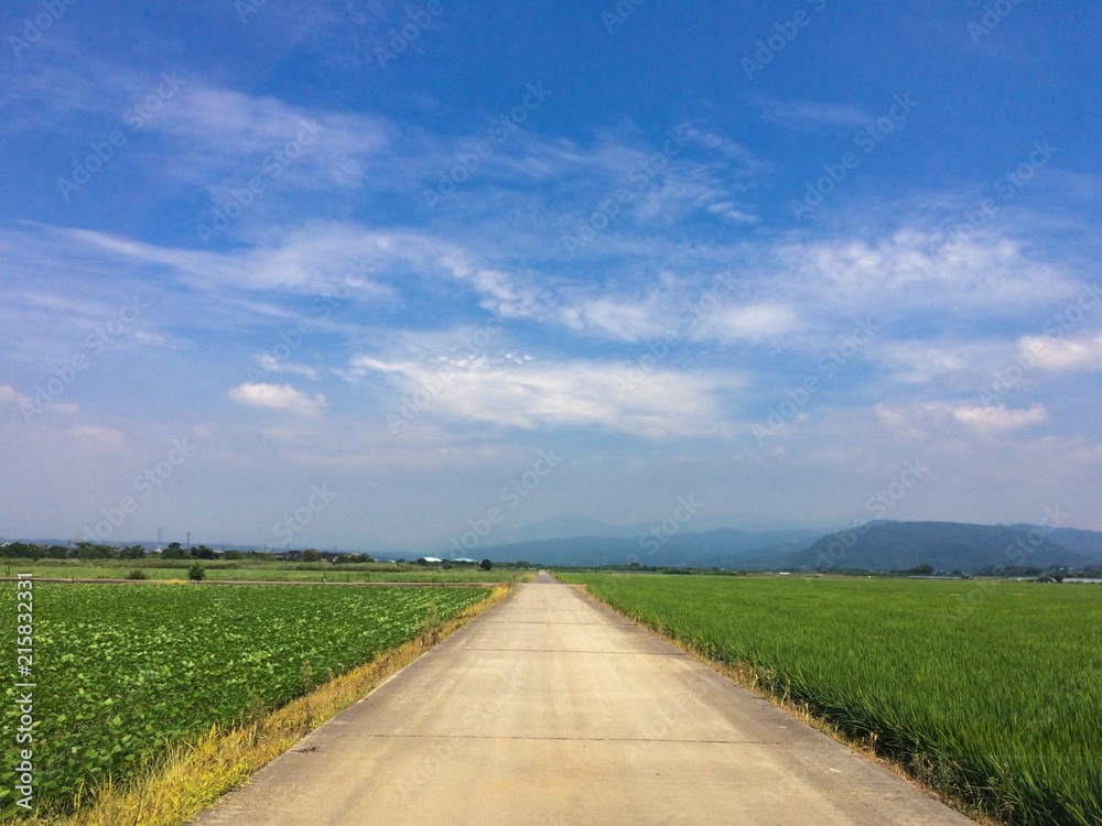 まっすぐの道