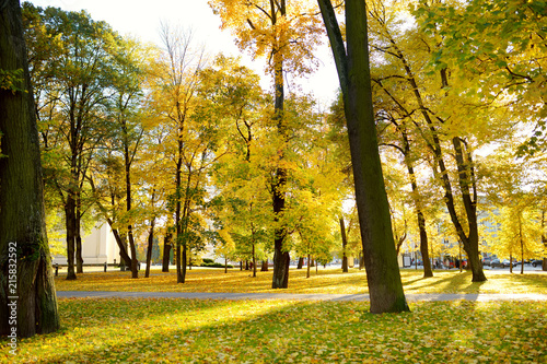 Colorful city park scene in the fall with orange and yellow foliage. Autumn scenery in Vilnius, Lithuania.