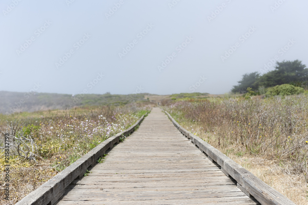 Cambria beach