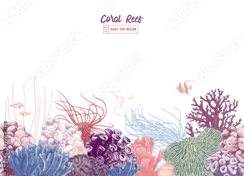 Fototapeta Naklejka Na Ścianę i Meble -  Hand drawn colorful coral border