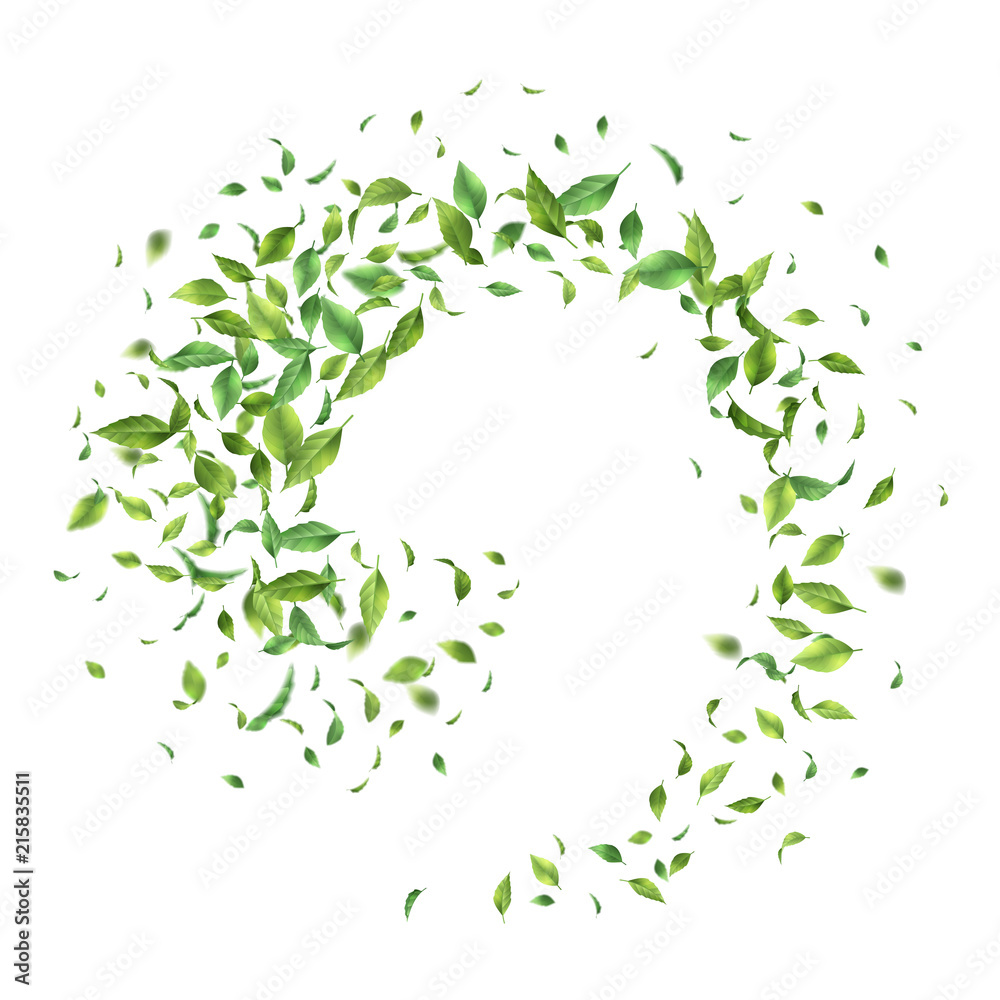 Green Flying Leaves