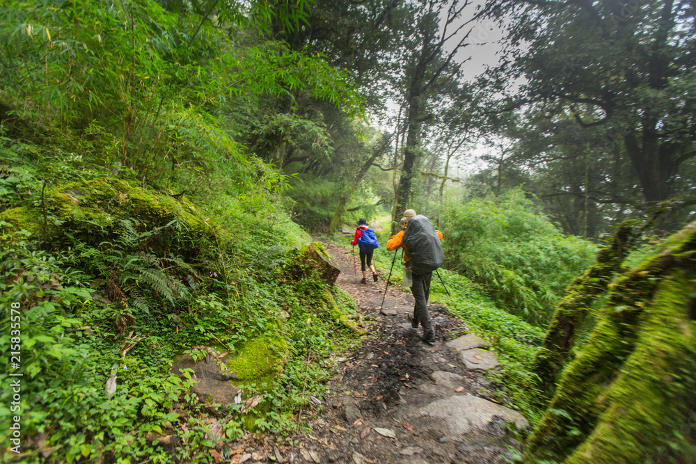 Trekkers hiking along a trail through the lush green forests of the Annapurna region in the Himalaya of Nepal. Trekkers hiking along a trail through the lush green forests of the Annapurna region in the Himalaya of Nepal.