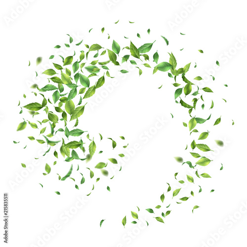 Green Flying Leaves