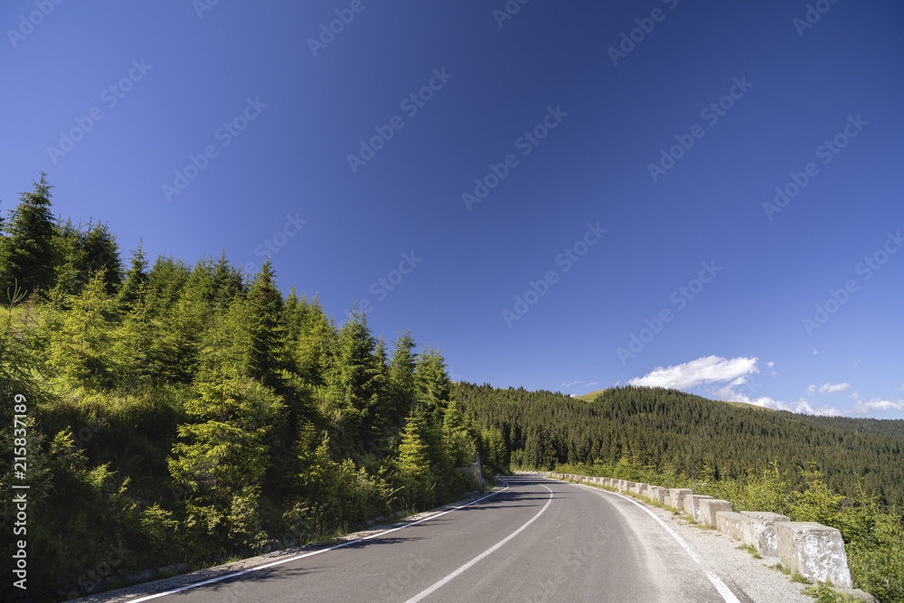 Asphalt road going into the mountains through pine forests Asphalt road going into the mountains through pine forests