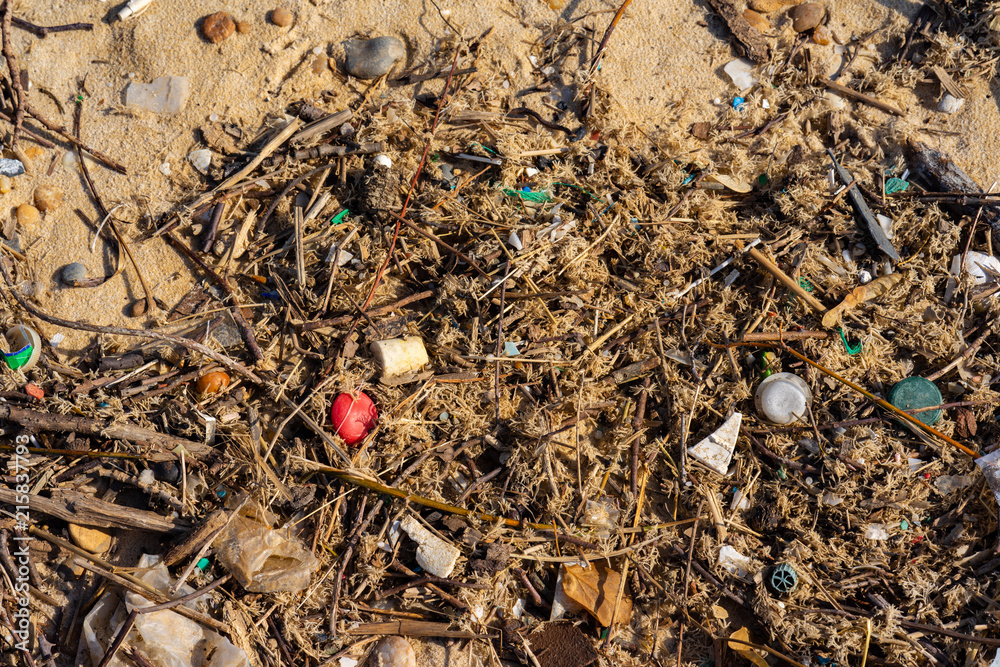 Pollution on the coast Pollution on the coast