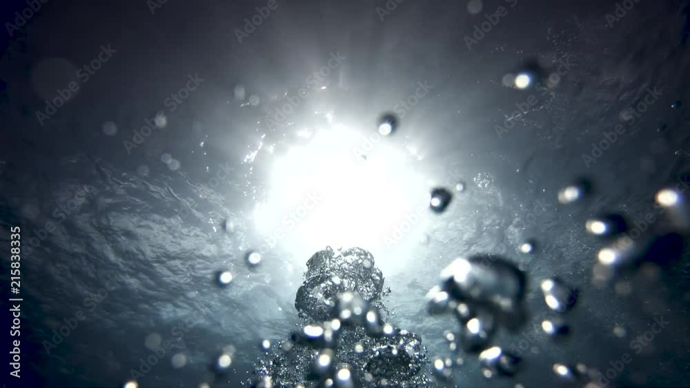 Bubbles in the water during a dive Bubbles in the water during a dive