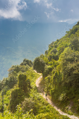 Man trekking along a hillside trail hugged by the forest leading into the sunlight of a Himalayan landscape.