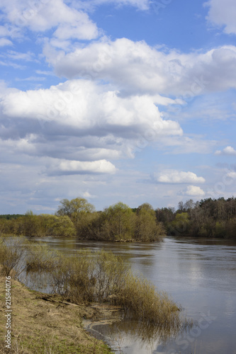 Island on the river in summer day