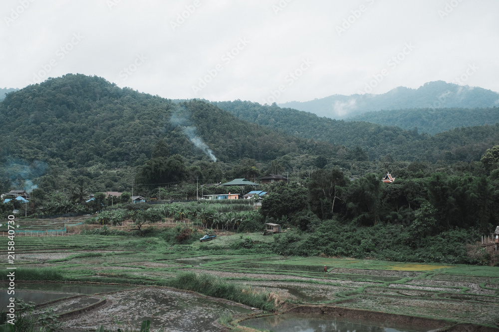 Landscape image of the rural village and rice field in greenery rainforest and hills background on foggy day