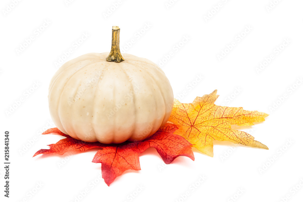 White Pumpkin with Autumn Leaves Isolated on White Background