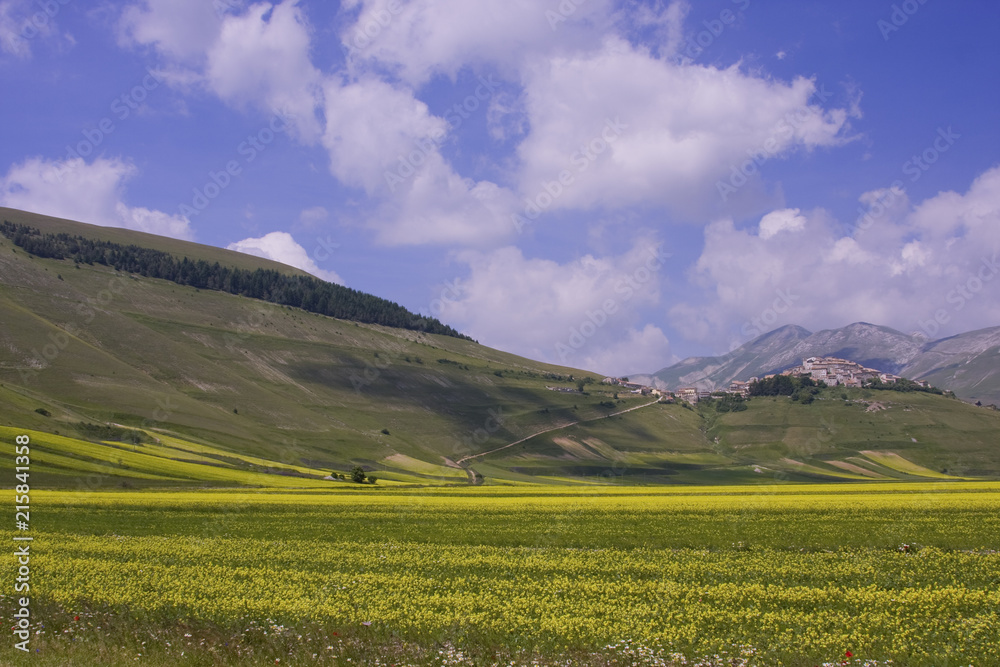 A magnificent sunrise in Castelluccio di Norcia. expecting more to the thousand colours of flowering

