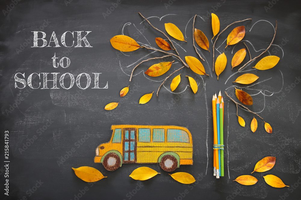 Back to school concept. Top view image school bus and pencils next to tree  sketch with autumn dry leaves over classroom blackboard background. Stock  Photo