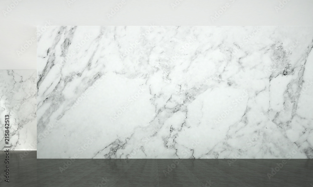 Modern luxury empty living room interior design and white marble ...