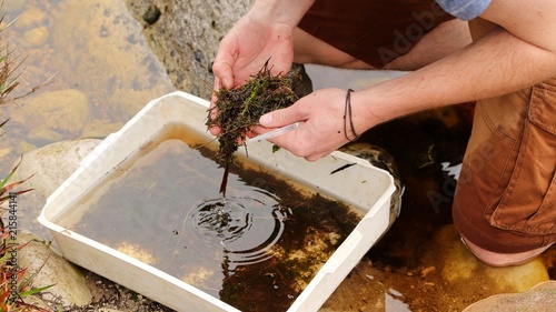 A scientist inspecting a water sample during an environmental impact analysis. 